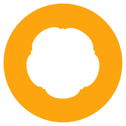 Papayal